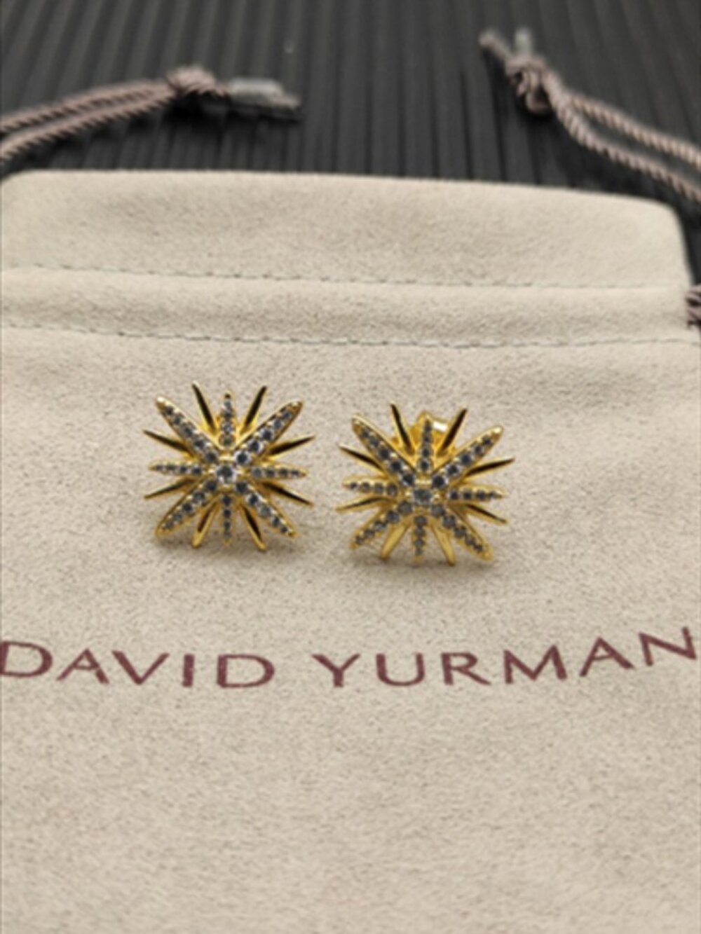 ✨ David Yaman Earrings - Picture 2 of 3